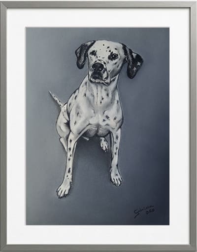 Obra original formato retrato hiperrealista en pinturas pastel de un dalmata cuerpo entero