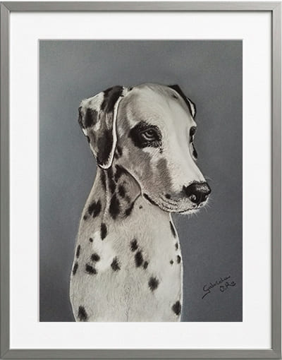 Obra original formato retrato hiperrealista en pinturas pastel de un galgo cuerpo entero