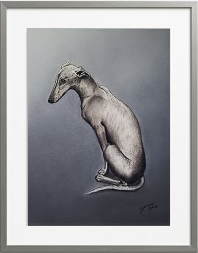 Obra original formato retrato hiperrealista en pinturas pastel de un galgo cuerpo entero