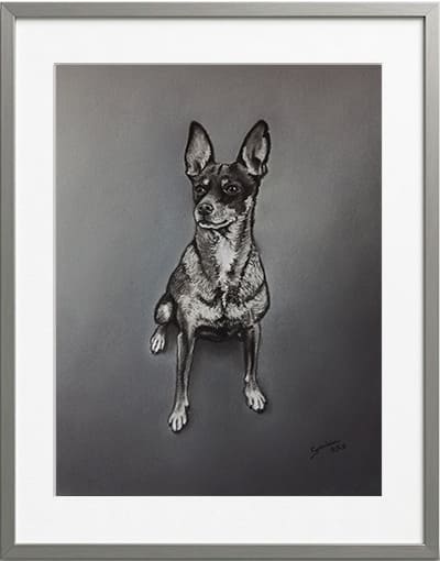 Obra original formato retrato hiperrealista en pinturas pastel de un perro pinscher