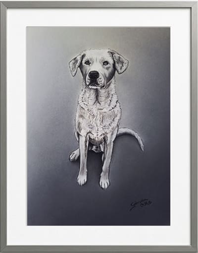 Obra original formato retrato hiperrealista en pinturas pastel de un perro mestizo