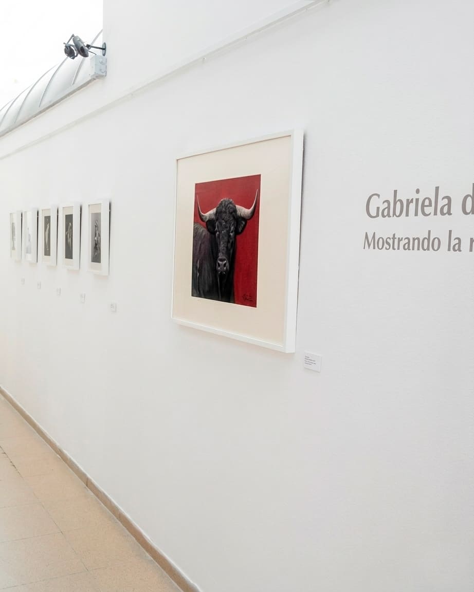 Exposición de pintura con cuadros de animales expuestos