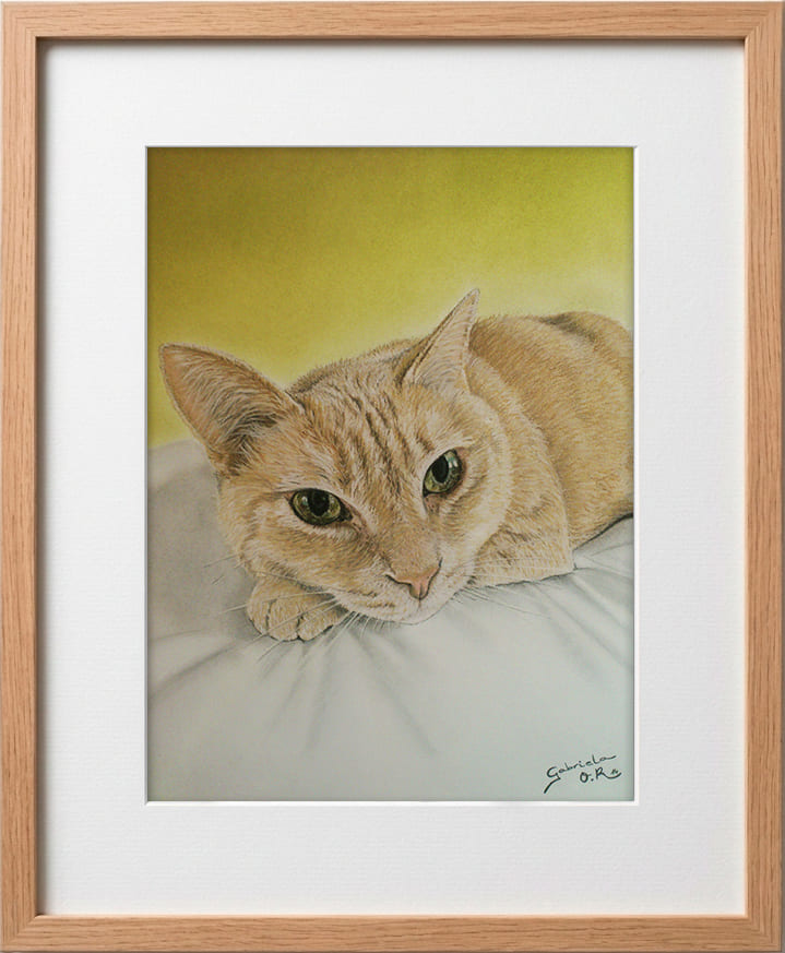 Obra original formato retrato hiperrealista en pinturas pastel de un gato