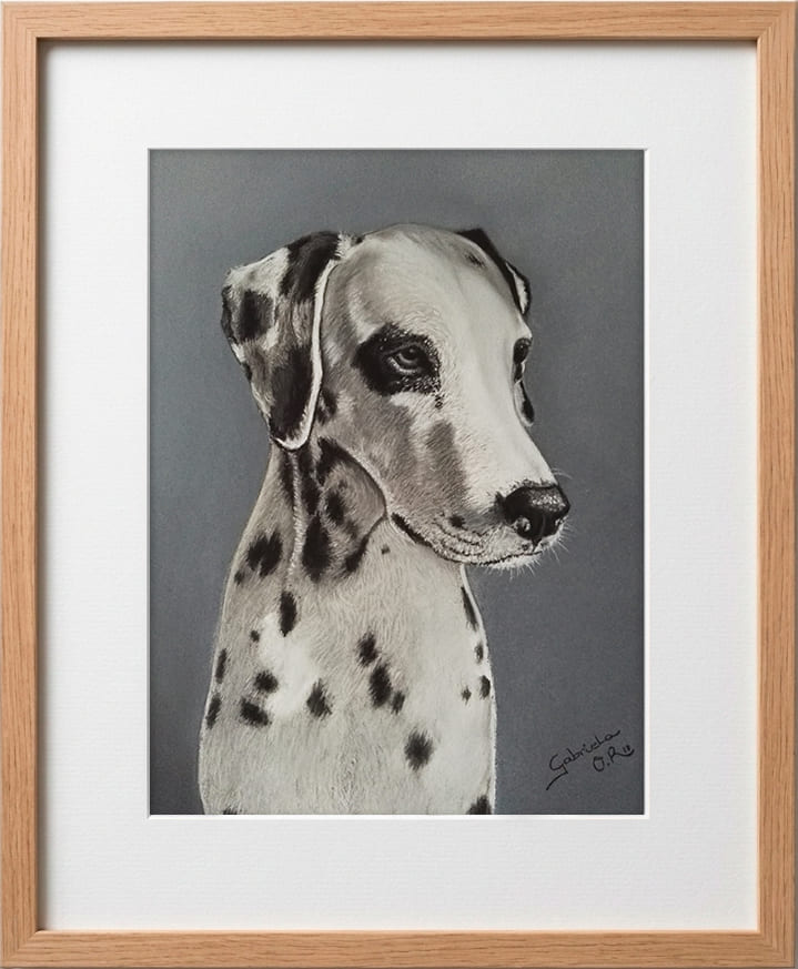 Obra original formato retrato hiperrealista en pinturas pastel de un perro dálmata