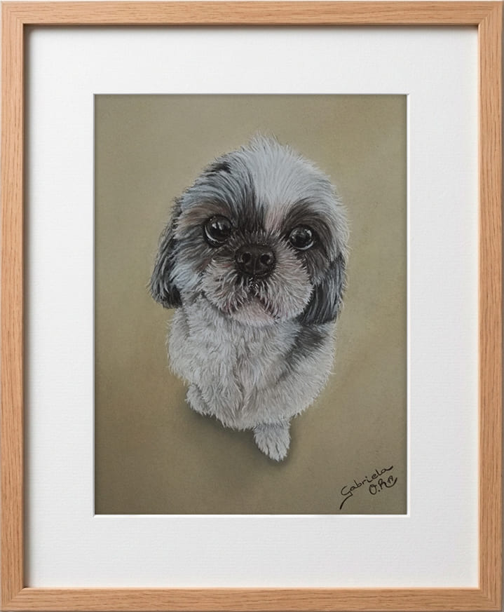 Obra original formato retrato hiperrealista en pinturas pastel de una perro
