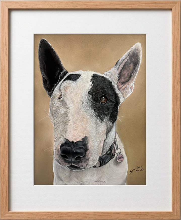 Obra original formato retrato hiperrealista en pinturas pastel de un perro pidbull