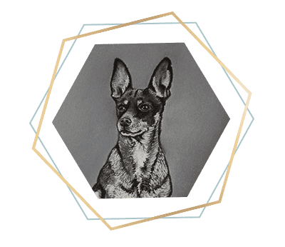 Pequeño retrato en técnica rápida de una mascota, formato pequeño A4